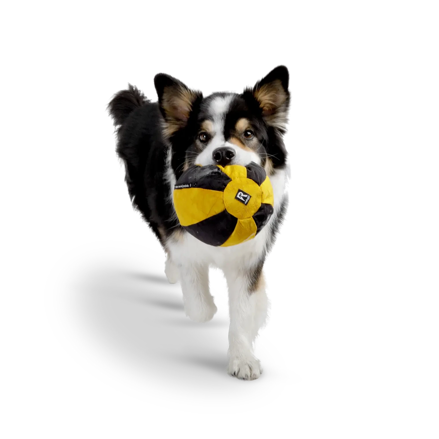 Groß