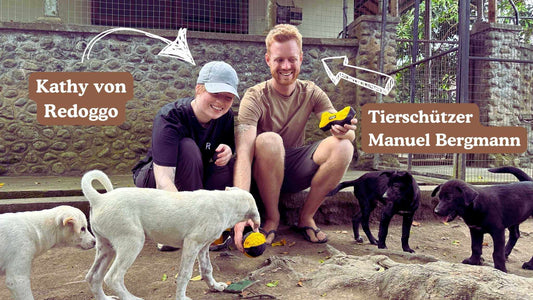 Manuel Bergmann und Kathy von Redoggo im Tierheim