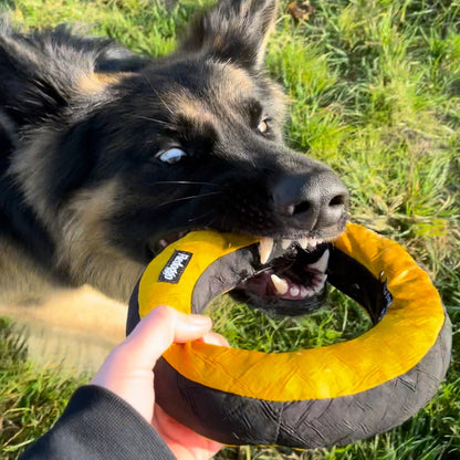 Donut