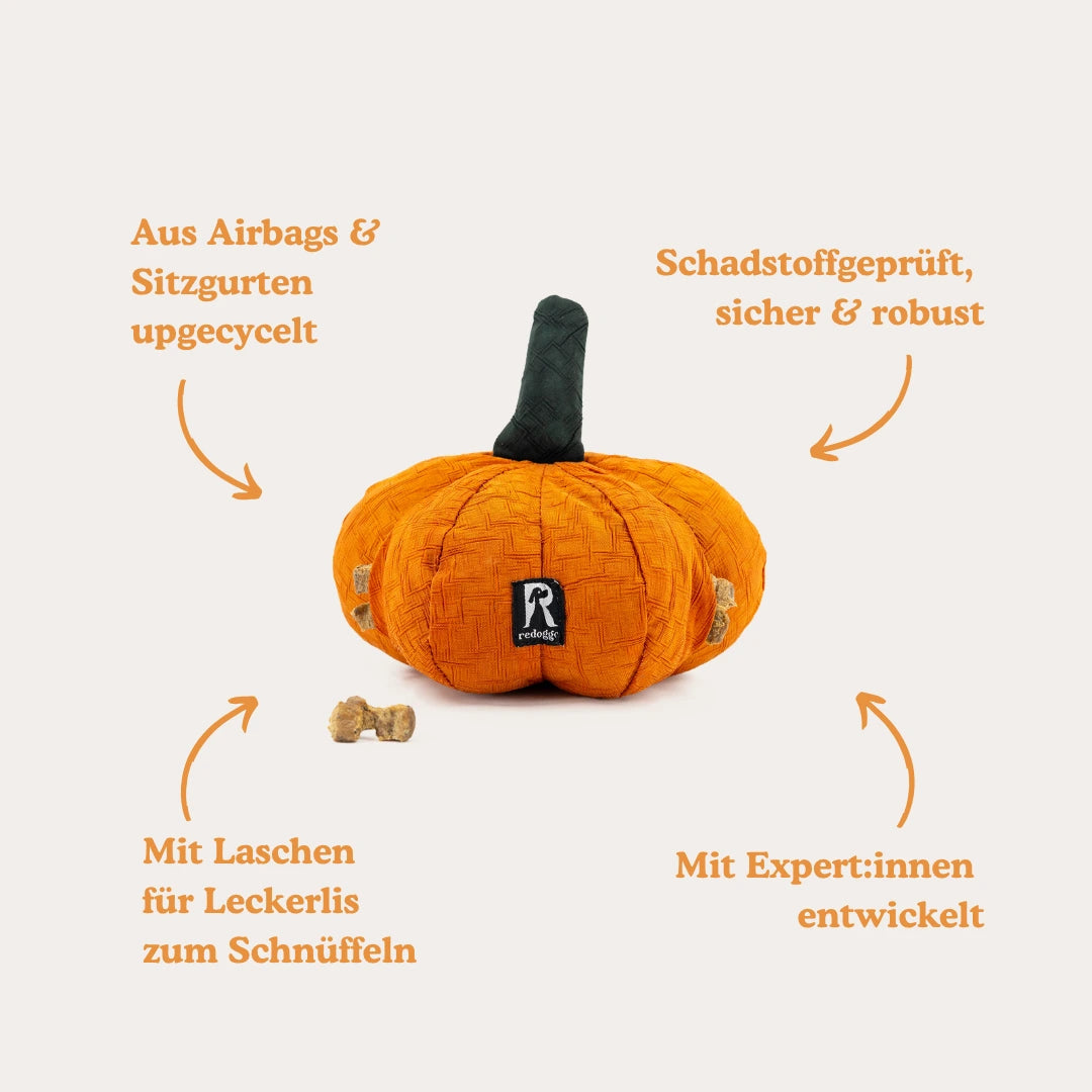 Kürbis