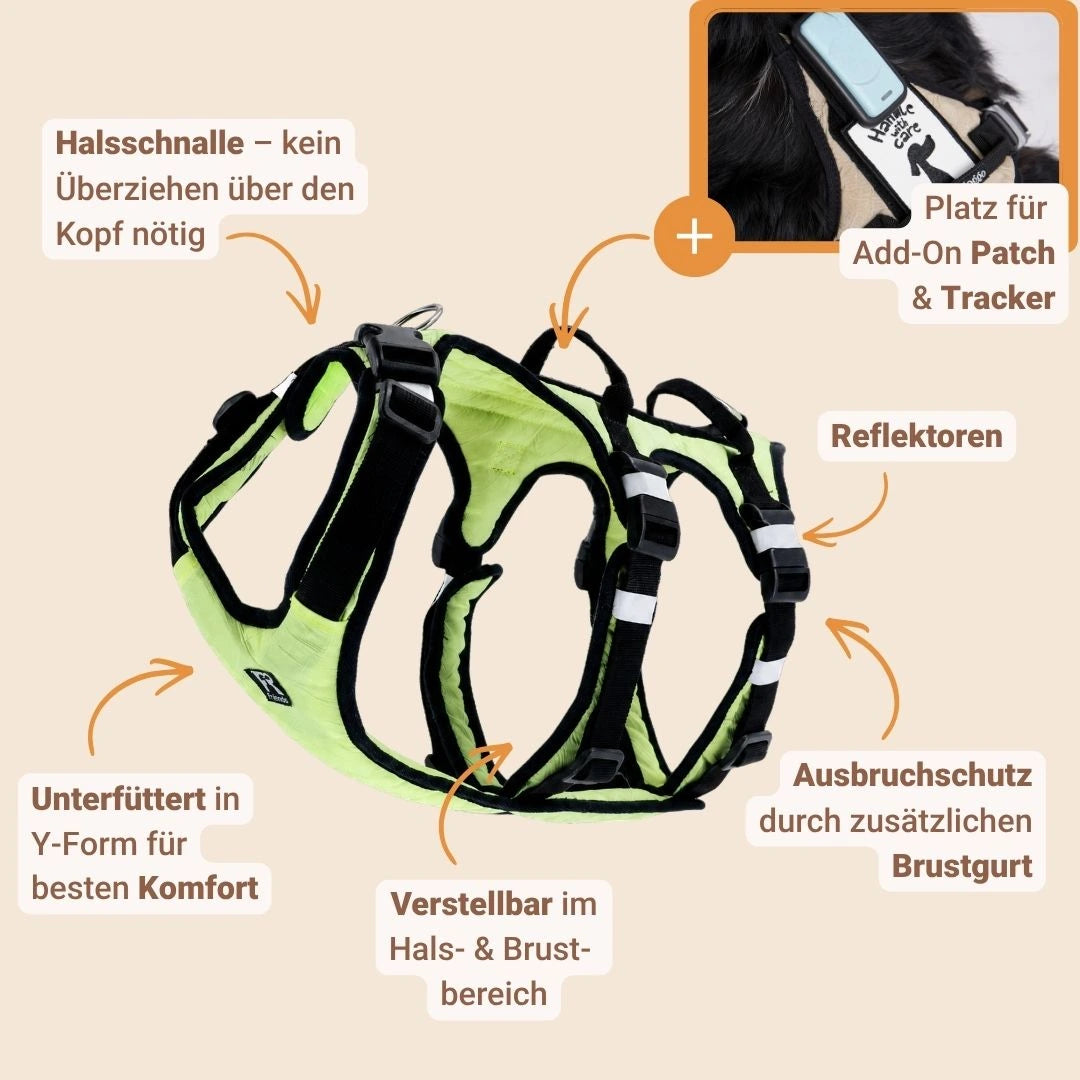 Sicherheitsgeschirr