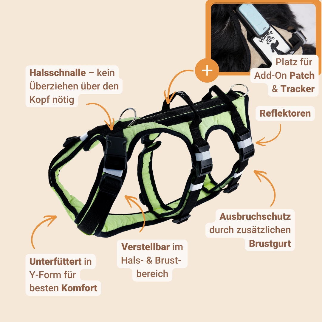 Sicherheitsgeschirr