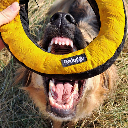 Donut